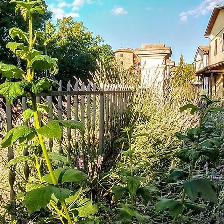 Villa Elvira Ambra Exterior photo